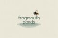 a minimalist logo design featuring frogmouth Ponds